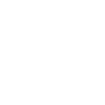 custom_icon (1)