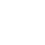 dev_icon (1)