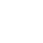 volo_icon (1)